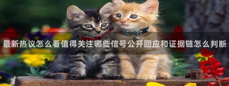 51吃瓜每日话题