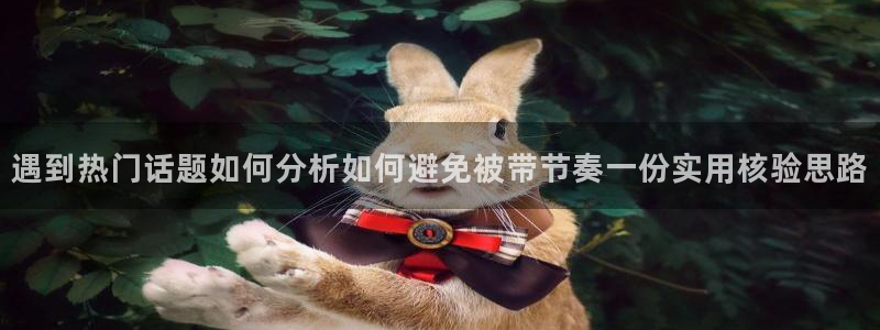 网络吃瓜