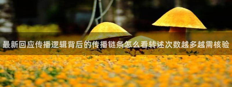 51吃瓜热门动态