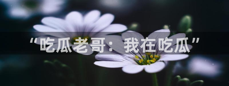 51吃瓜网络资讯