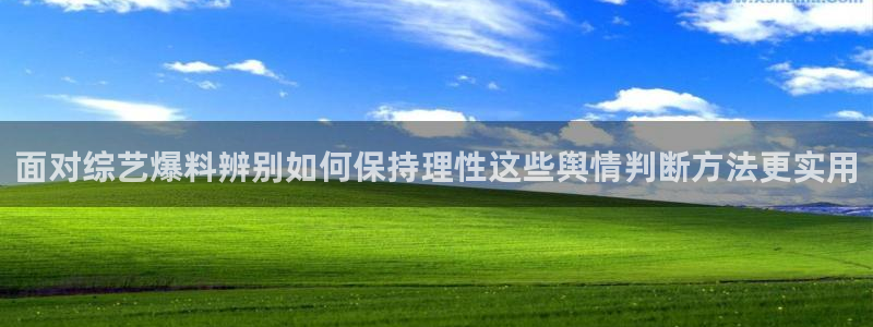 今日网络资讯